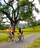 Alexander Biking photo
